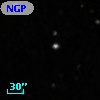 NGPFG 28441