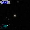 NGPFG 28310