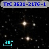 TYC 3631-2176-1