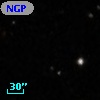 NGPFG 28195