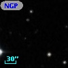NGPFG 28120