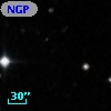 NGPFG 28121
