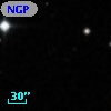 NGPFG 28122