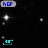 NGPFG 28099
