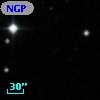 NGPFG 28101