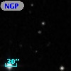 NGPFG 28062