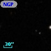 NGPFG 28161