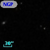 NGPFG 28137