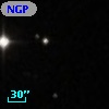 NGPFG 28168