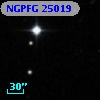 NGPFG 25019