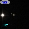 NGPFG 28165