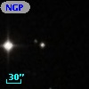 NGPFG 28145