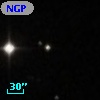 NGPFG 28146