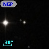 NGPFG 28147