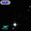 NGPFG 27997
