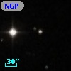 NGPFG 28127