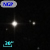 NGPFG 28105