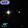 NGPFG 28106