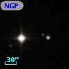 NGPFG 28088
