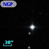 NGPFG 27941