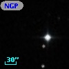 NGPFG 27944