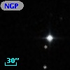NGPFG 27913