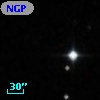 NGPFG 27911