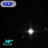 NGPFG 28018