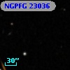 NGPFG 23036