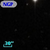 NGPFG 28019