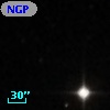 NGPFG 27983