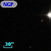NGPFG 27926