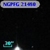 NGPFG 21480