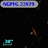 NGPFG 22879