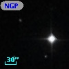 NGPFG 30711