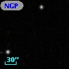 NGPFG 27737