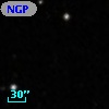 NGPFG 27736