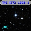 TYC 4272-1009-1