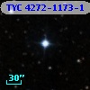 TYC 4272-1173-1