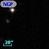 NGPFG 27704