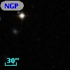 NGPFG 27688