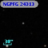 NGPFG 24313