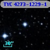 TYC 4273-1229-1