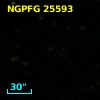 NGPFG 25593