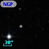 NGPFG 30502
