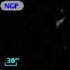 NGPFG 27291