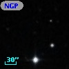 NGPFG 30424