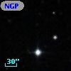 NGPFG 30425