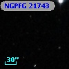 NGPFG 21743