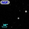 NGPFG 27021